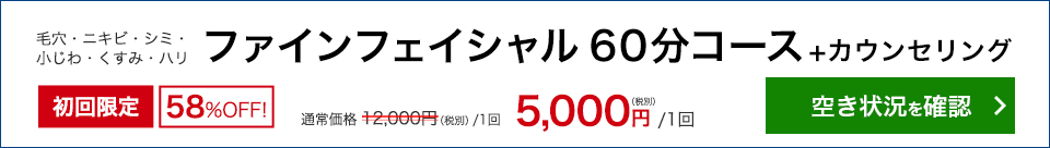毛穴・ニキビ・シミ・小じわ・くすみ・ハリ　ファインフェイシャル 60分コース+カウンセリング　初回限定58％OFF！　5,000円（税別）/1回