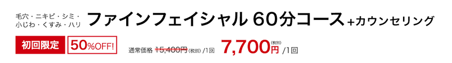 毛穴・ニキビ・シミ・小じわ・くすみ・ハリ　ファインフェイシャル 60分コース+カウンセリング　初回限定58％OFF！　9,900円（税別）/1回